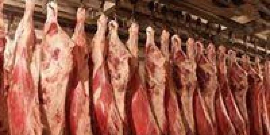 التموين: إطلاق شوادر عيد الأضحى 20 مايو الجارى لتوفير احتياجات المواطنين