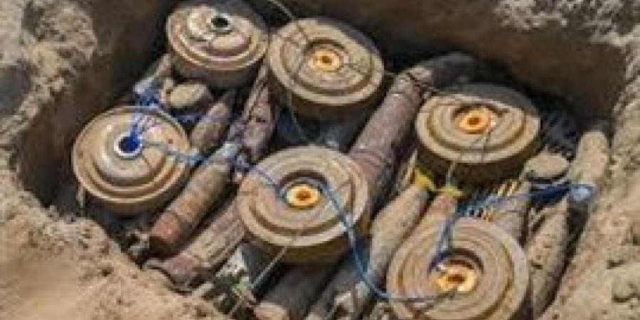 مسام يتلف أكثر من 5000 قطعة من الذخائر غير المنفجرة في أبين