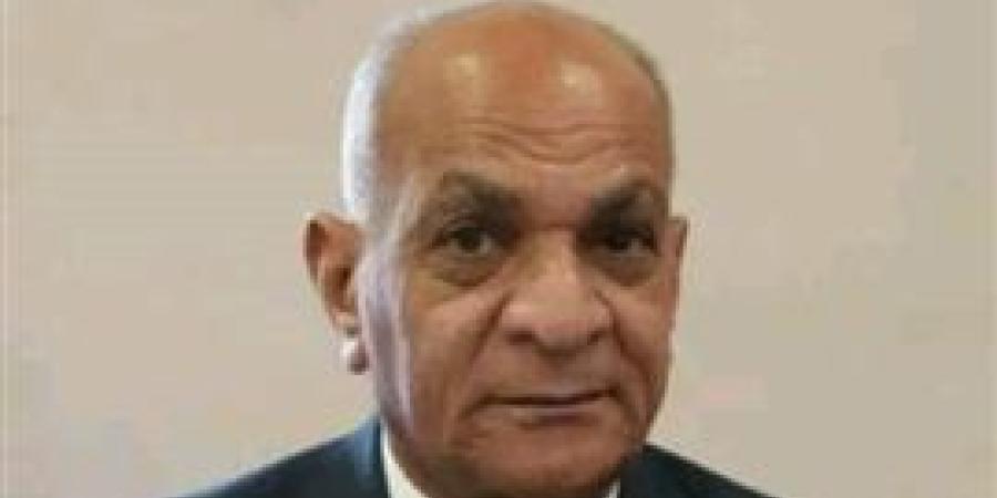 رئيس حزب الريادة: "تكافل وكرامة" علامة مضيئة في مسيرة التنمية