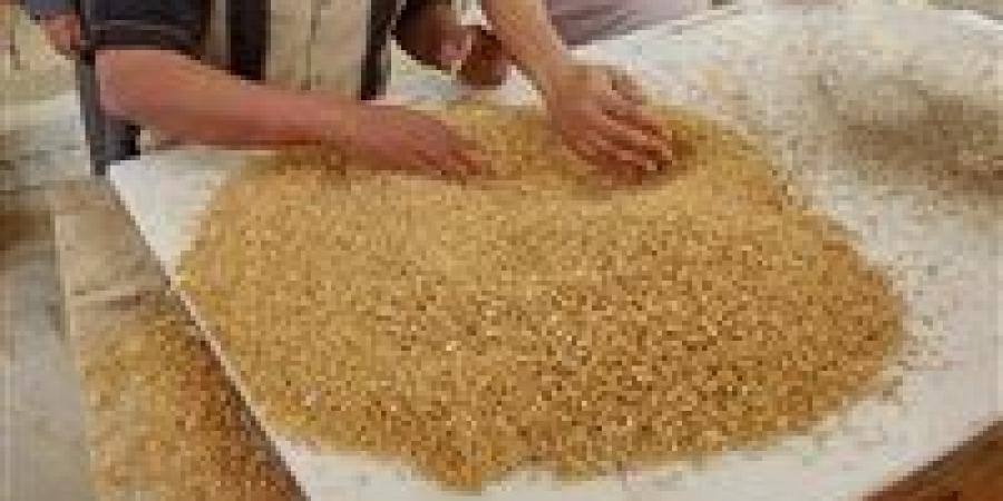 استلام 110 ألف طن من القمح المحلي بمواقع التخزين بالصوامع والشون منذ انطلاق موسم الحصاد والتوريد بالجيزة