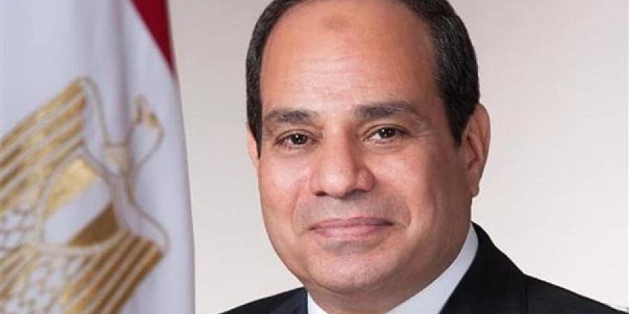 الرئيس السيسي يصل إلى أرض الوطن عائدا من العاصمة العراقية بغداد