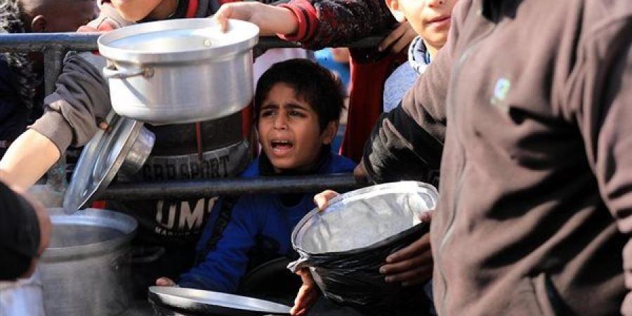 مدير شبكة المنظمات الأهلية الفلسطينية: غزة تعيش أصعب مشهد في تاريخها الحديث